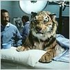 Dr. Dollitle : photo Betty Thomas, Eddie Murphy