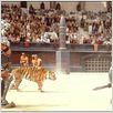 Gladiator (El gladiador) : photo Ridley Scott, Russell Crowe