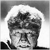 El hombre lobo : photo Lon Chaney Jr.