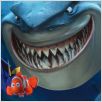 Buscando a Nemo : photo