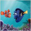 Buscando a Nemo : photo