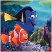 Buscando a Nemo : photo