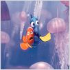 Buscando a Nemo : photo