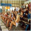 Van Wilder - Animal Party : photo