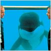 Les Clefs de bagnole : photo Daniel Russo, Laurent Baffie