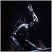 Species (Especie mortal) : photo