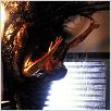 Species (Especie mortal) : photo