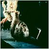La cosa : photo John Carpenter