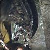 Alien vs. Predator : photo Paul W.S. Anderson