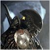 Alien vs. Predator : photo Paul W.S. Anderson