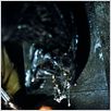 Alien vs. Predator : photo Paul W.S. Anderson