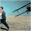 Con la muerte en los talones : photo Alfred Hitchcock, Cary Grant