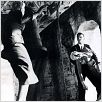 Vertigo (De entre los muertos ) : photo Alfred Hitchcock, Kim Novak
