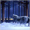 Polar Express : photo