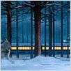 Polar Express : photo Robert Zemeckis