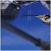 Stealth: La amenaza invisible : photo Rob Cohen