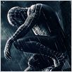 Spider-Man 3 : poster Sam Raimi, Tobey Maguire