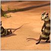 Ice Age 2: El deshielo : photo Carlos Saldanha