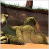 Ice Age 2: El deshielo : photo Carlos Saldanha