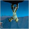 Ice Age 2: El deshielo : photo Carlos Saldanha