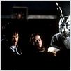 Donnie Darko : photo Jake Gyllenhaal, Jena Malone, Richard Kelly