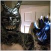 Donnie Darko : photo Richard Kelly
