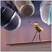 Bee Movie : photo Simon J. Smith, Steve Hickner
