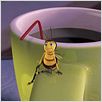 Bee Movie : photo Simon J. Smith