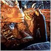 Dragonheart (Corazón de Dragón) : photo Dennis Quaid, Rob Cohen