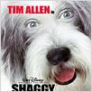Cariño, estoy hecho un perro : poster Brian Robbins, Tim Allen