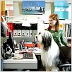 Cariño, estoy hecho un perro : photo Brian Robbins, Kristin Davis, Spencer Breslin, Zena Grey