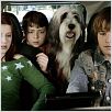 Cariño, estoy hecho un perro : photo Brian Robbins, Shawn Pyfrom, Spencer Breslin, Zena Grey