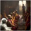 Cariño, estoy hecho un perro : photo Brian Robbins
