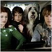 Cariño, estoy hecho un perro : photo Brian Robbins, Shawn Pyfrom, Spencer Breslin, Zena Grey