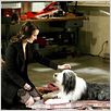 Cariño, estoy hecho un perro : photo Brian Robbins, Kristin Davis