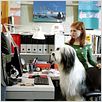 Cariño, estoy hecho un perro : photo Brian Robbins, Kristin Davis, Spencer Breslin, Zena Grey