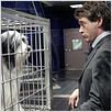 Cariño, estoy hecho un perro : photo Bess Wohl, Brian Robbins, Robert Downey Jr.