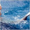 Aquamarine : photo Elizabeth Allen