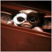 Gremlins : photo Joe Dante
