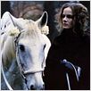 1900 : photo Bernardo Bertolucci, Dominique Sanda