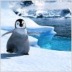 Happy Feet: rompiendo el hielo : photo George Miller