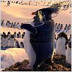 Happy Feet: rompiendo el hielo : photo George Miller