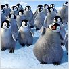 Happy Feet: rompiendo el hielo : photo George Miller