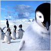 Happy Feet: rompiendo el hielo : photo George Miller