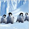 Happy Feet: rompiendo el hielo : photo George Miller