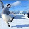 Happy Feet: rompiendo el hielo : photo George Miller