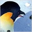 Happy Feet: rompiendo el hielo : photo George Miller