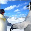 Happy Feet: rompiendo el hielo : photo George Miller
