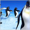 Happy Feet: rompiendo el hielo : photo George Miller