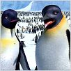 Happy Feet: rompiendo el hielo : photo George Miller